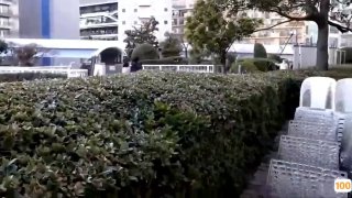 飞剑问道中央财经女生戴着项圈挨肏